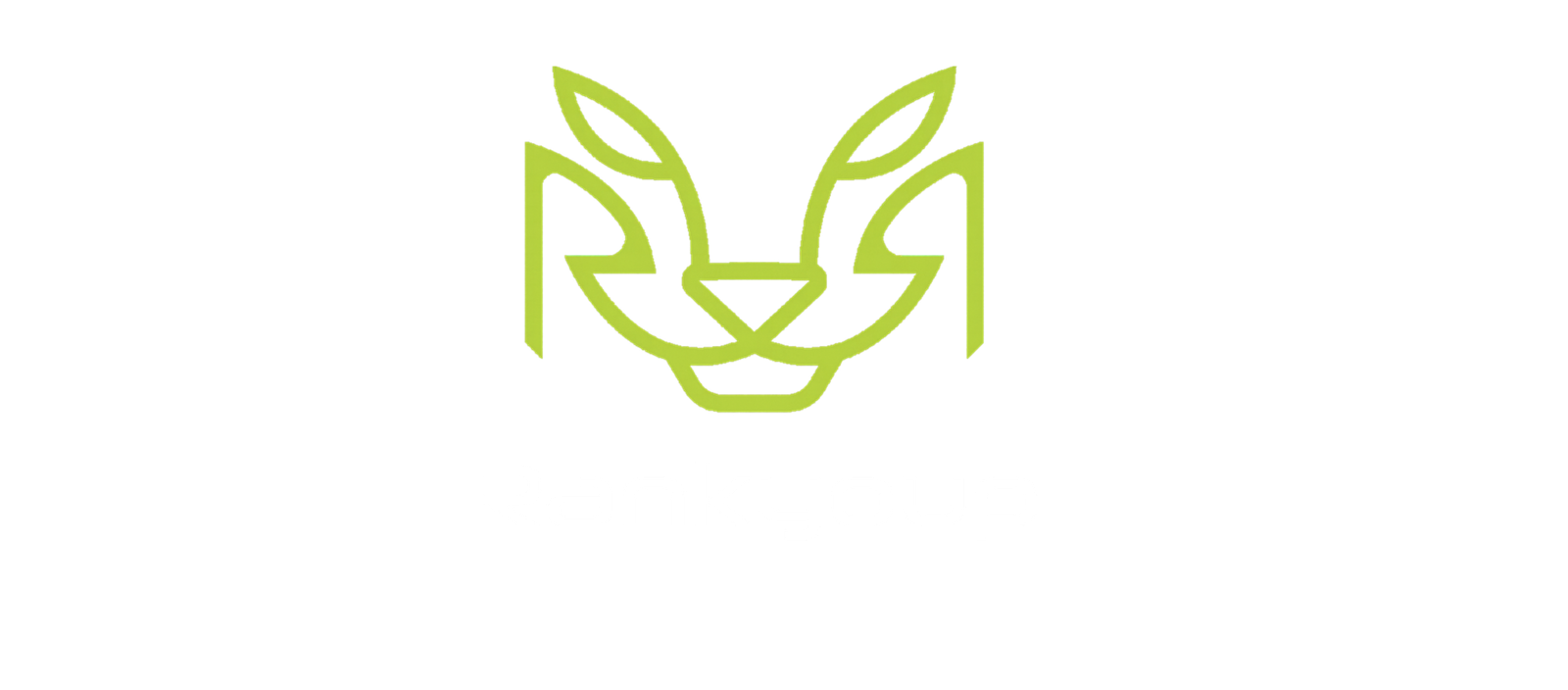 RankyUp